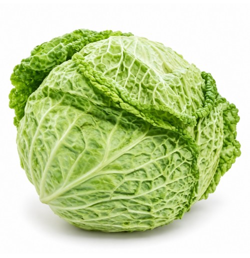Savoy Cabbage